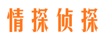 登封市侦探公司